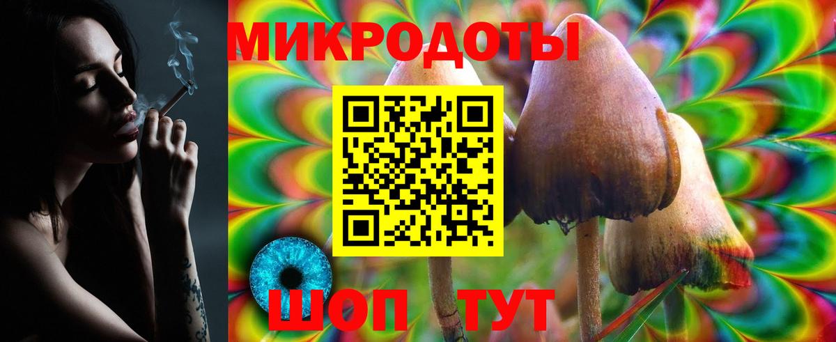 Псилоцибиновые грибы Cubensis Новокубанск