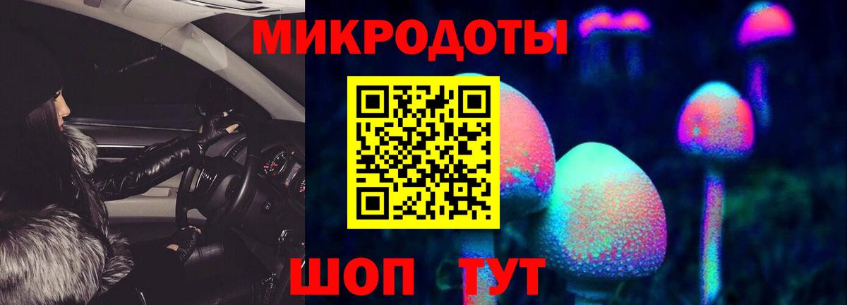 Псилоцибиновые грибы Cubensis  Вход с VPN  Новокубанск 