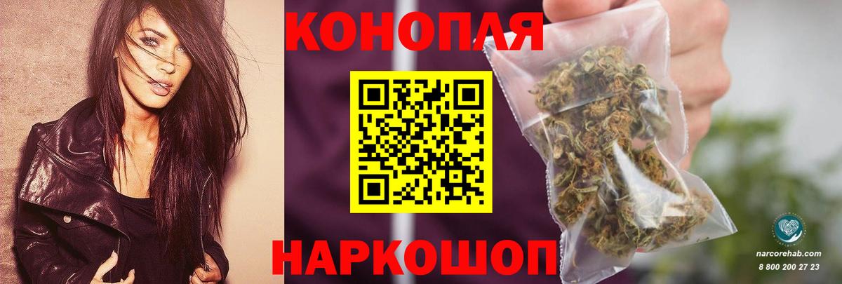 МАРИХУАНА конопля Новокубанск